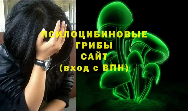 дживик Волосово
